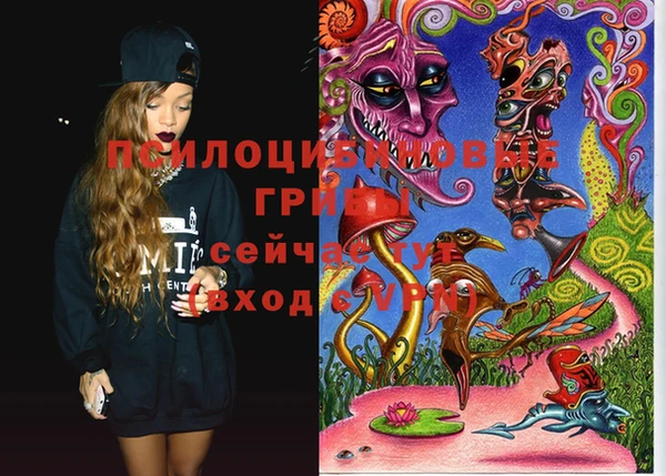 MESCALINE Кинешма