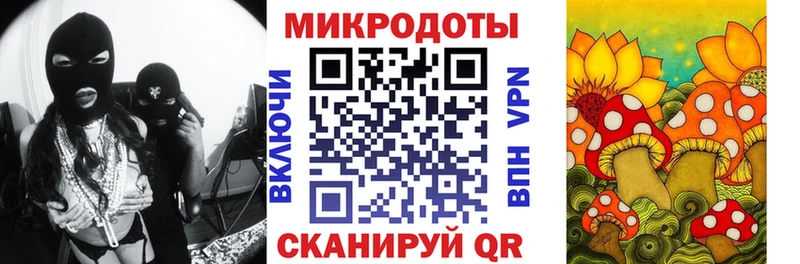 Псилоцибиновые грибы Magic Shrooms  где найти   Киселёвск 